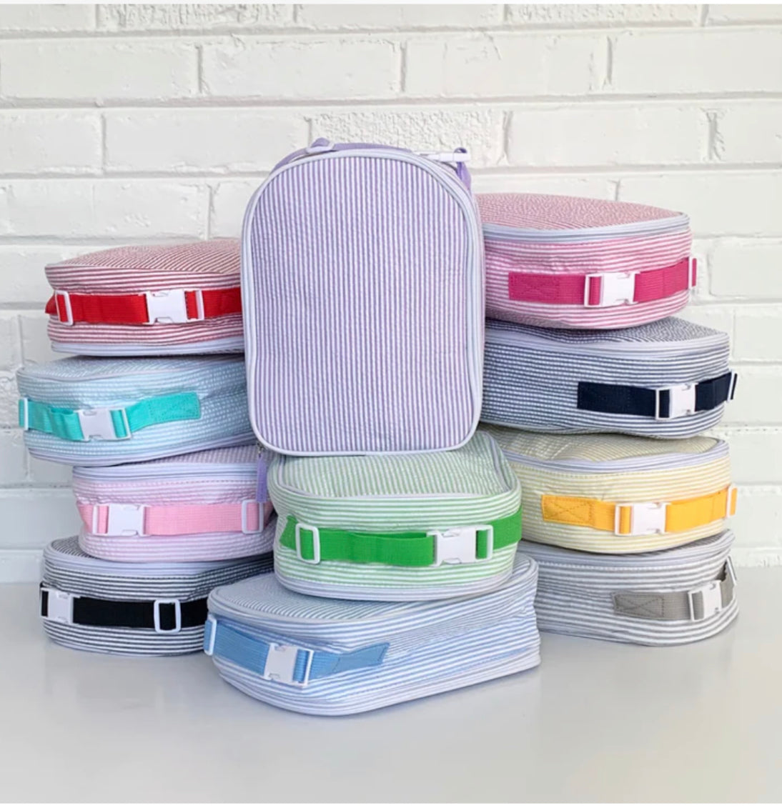 Seersucker (Mallard Duck) Lunchbox
